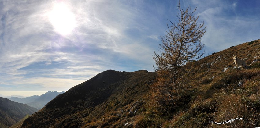 126 Panoramica sul Monte Vetro.jpg